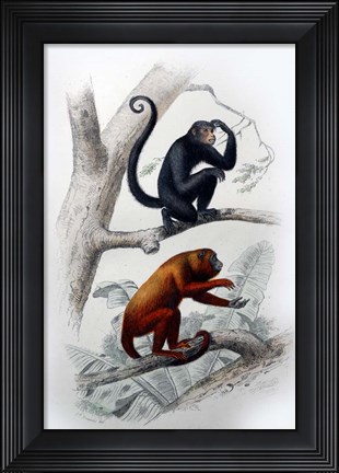 Framed Pair of Monkeys VIII Print
