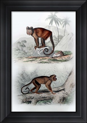 Framed Pair of Monkeys IX Print