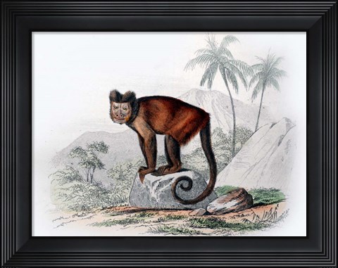 Framed Monkey IX Print