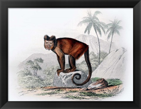 Framed Monkey IX Print