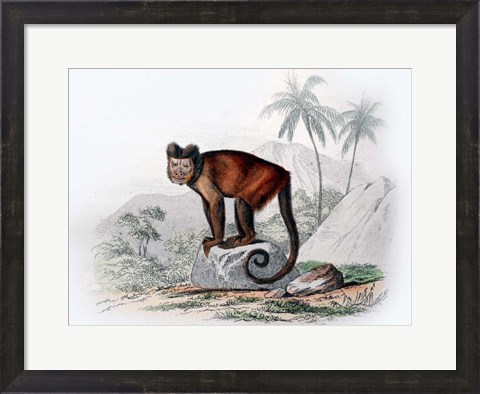 Framed Monkey IX Print