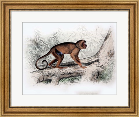 Framed Monkey X Print