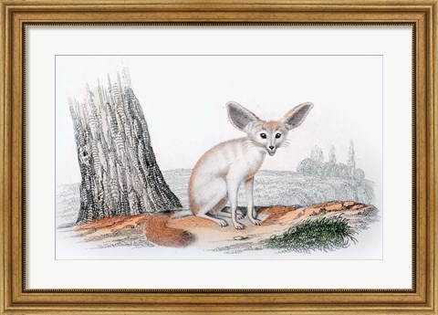 Framed Mammal VI Print