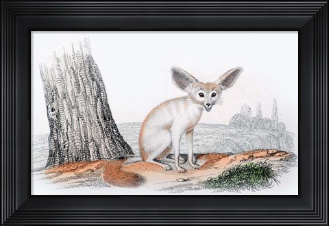Framed Mammal VI Print