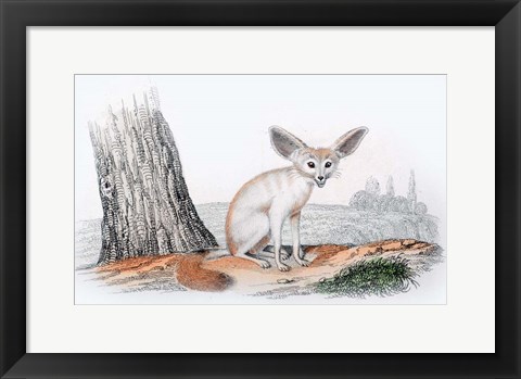 Framed Mammal VI Print