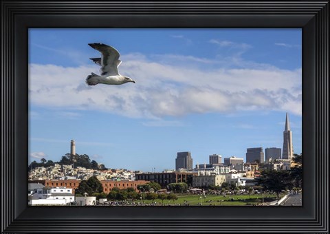 Framed Over SF Print
