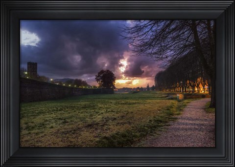 Framed Walk in the Park Print