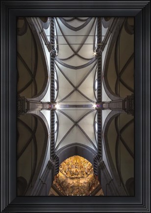 Framed Spider Web Print