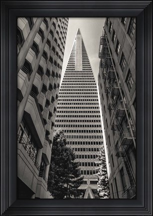 Framed Apex Print