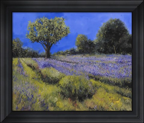 Framed Il Campo Di Lavanda Print