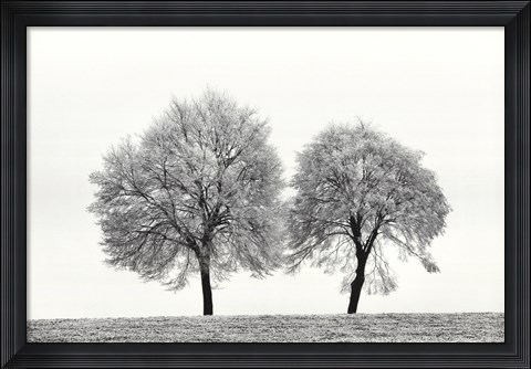 Framed First Snow Print