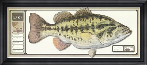 Framed World Record Largemouth Bass Print