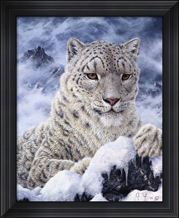 Framed Cat Print