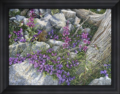 Framed Squirrel Painting Print