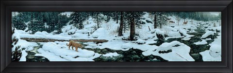 Framed First Alert Print