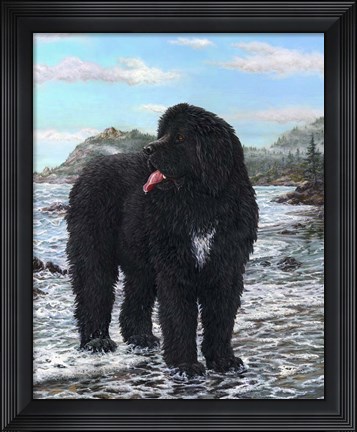 Framed Seaman Print
