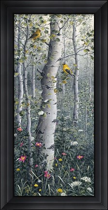 Framed American Goldfinch Print