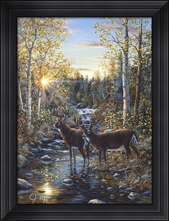 Framed Whitetail Deer Print