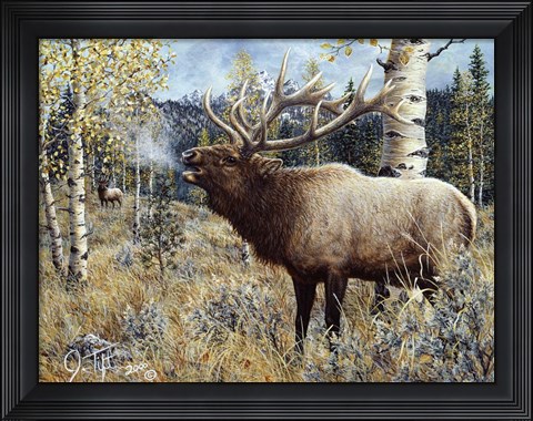 Framed Wapiti Print