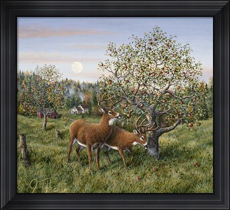 Framed Whitetails Under The Apple Tree Print