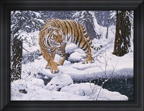 Framed Silent Hunter- Siberian Tiger Print
