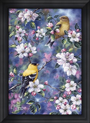 Framed Gold Finch &amp; Blossoms Print