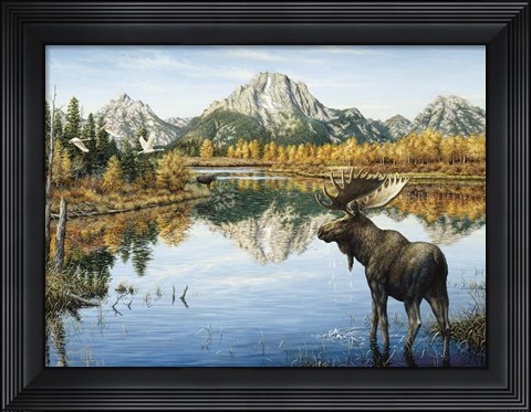 Framed Bull Moose Print