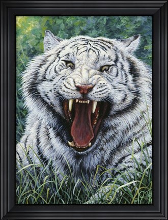 Framed White Tiger 2 Print