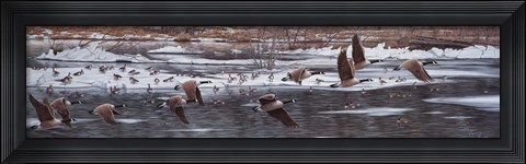 Framed Along The Waterfront Print