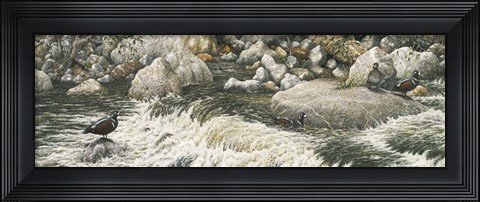 Framed Swift Water Print