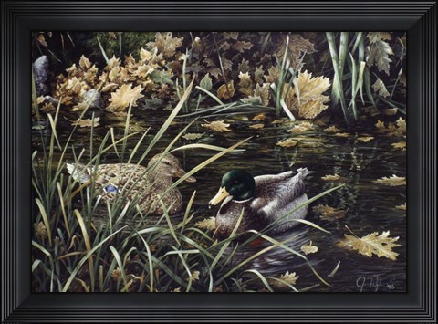 Framed Mallards Print