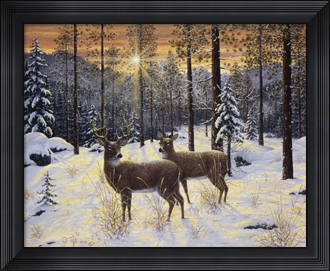Framed Evening Silence Print