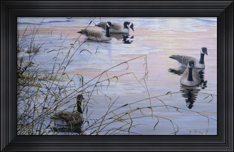 Framed Sunset Serenity Print