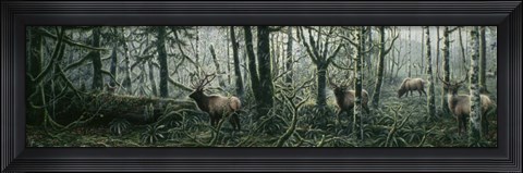 Framed Enchanted Forest Print