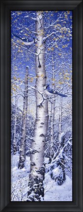 Framed Blue Jay Print