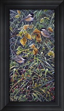 Framed Chickadee 2 Print