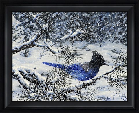 Framed Winter Jay Print