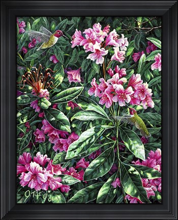 Framed Annas &amp; Rhodies Print