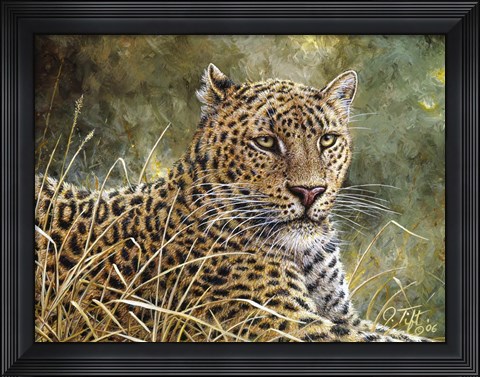 Framed Leopard Portrait Print