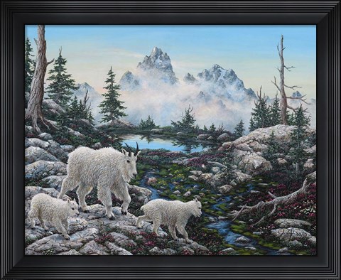 Framed Alpine Country Print