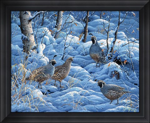Framed Winter Covey Print