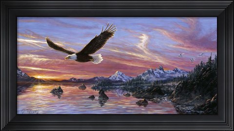 Framed Silent Wings Of Freedom Print