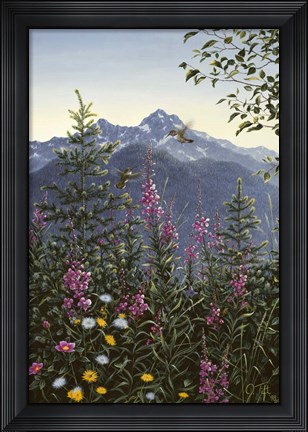 Framed Hummingbirds Print