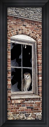 Framed Look Out Print