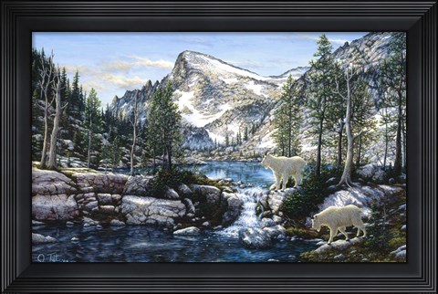 Framed Summer In The Enchantments Print