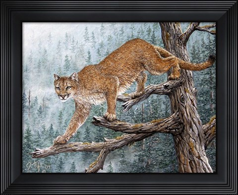 Framed High Climber Print