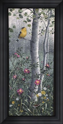 Framed Shades Of Summer Print