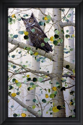Framed Misty Aspen Print