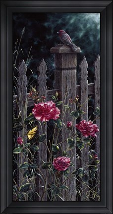 Framed Red Bird Print