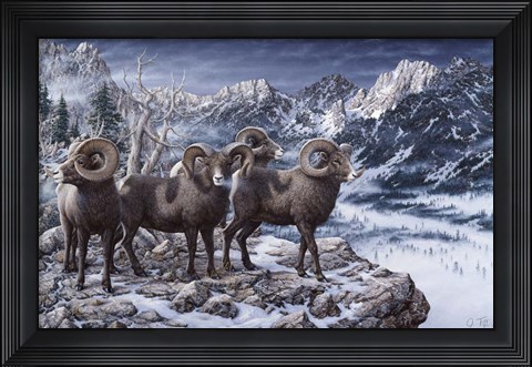Framed Late Season Big Horns Print